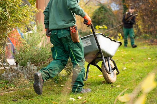 Commercial landscaping project — Island Green Services